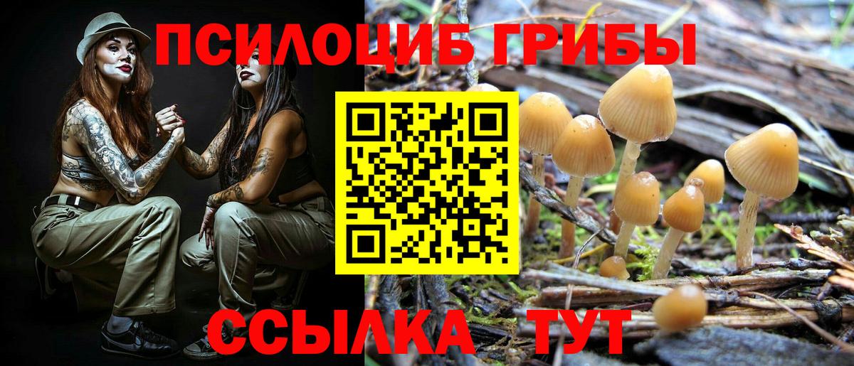 Псилоцибиновые грибы GOLDEN TEACHER Обнинск